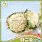 with Best Quality For SaleChina New Crop Fresh white Cauliflower