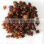 INDIAN MALAYAR RAISIN BEST QUALITY