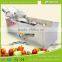 WA-1000 High efficiency vegetable washer,vegetable and fruit washing machine,vegetable cleaning machine