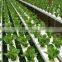 Most Popular Hydroponic NFT Channel Pvc Pipes
