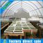 Seed nursery bed agricultural greenhouse equipment
