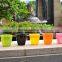 Wholesale plastic flower pots /garden creative pot / plastic flower pot decoration