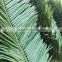 SJZZY Indoor & outdoor artificial coconut tree leaves , decorative palm tree leaves