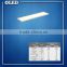 energy-efficient lighting oled light flexible