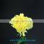 Fresh cut Yellow Fancy beautiful Carnation flowers glaring global distribution value from China