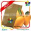 TPBI Taiwan Paper Bag Industry Co. pear fruit growing paper bag carambola tree bag