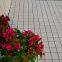 30x30cm non slip roofing glazed white ceramic interlocking flooring tile design in cheap price by Chinese manufacturing