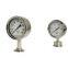Y-M Hygienic Diaphragm Pressure Gauge