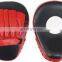 Kick Mitts | Karate Mitts | Boxing Mitts