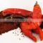 Vietnam Good Quality Hot Red Dry Chili Powder Brands