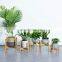 mid century modern fixed wooden floor flower plants pot stand 20.3x28cm