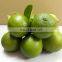 TOP FOOD FAMOUS FOR VIIET NAM GREEN LEMON HIGH QUALITY WITH BEST PRICE