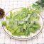 High Quality Fresh IQF Green Pepper Strips Frozen Green Pepper