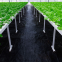 100gsm Plastic Barrier Weed Mat For Agriculture Farming Woven Ground Cover Weed Control Barriers