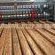 Factory Sale Automatic Wheat Grain Rice Candy Bar Forming Machine Rice Cake Production Line