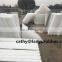 China manufacturer honeycomb clarificator sheet 50mm diameter tube settler