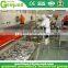 Top Quality tuna in oil canning plant