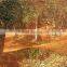 PE agriculture net for Olive Harvesting