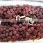 Top quality seedless red grapes for Dubai Market
