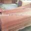 Grade A/B natural plywood plb face veneer