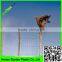 supply high quality fabric PE agricultural bird mist netting with low price