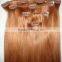 Wholesale Virgin Brazilian Clip in Hair Extensions Virgin Hair Made in China