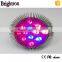 2016 Best Selling red 630-660nm Blue 440-460nm Full Spectrum Led Grow Lights