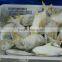 Frozen Farmed Golden Pomfret price whole round origin china