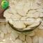 International Price for 13cm Snow White Pumpkin Seeds, Pumpkin Seeds Price