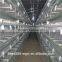 Africa Market Nigeria Farm Use Best Price Pullet Rearing Cage for One Day Old Chicks