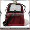 outdoor cute pet carrier bag