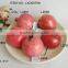 2015 New Artificial Fake Fruits Artificial Polyfoam Pomegranate Display House Decoration