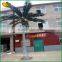 Low price plastic coconut tree customized artificial coconut tree for outdoor decorative                        
                                                Quality Choice