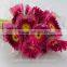 Professional export fresh rose roses flowers with 70-80cm long from Yunnan, China