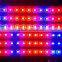 Korea led plant grow light strip lighting Red:Blue 3:1 4:1 5:1 6:1 7:1 8:1 9:1 LED Grow