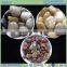 Natural Stone Material and Mixed Color pebble stone