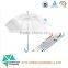2016 fashion cheaper auto clear POE umbrella