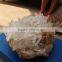 12.52kgs natural rock white quartz crystal clusters for sale