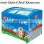 Commercial Showcase ice cream display freezer