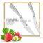 Stainless Steel Hollow Handle Steak Knife