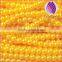 whole sale colorful 14mm immitation pearl ABS round plastic beads chain for Jewelry christmas