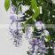 wholesale deocrative artificial wisteria trees natrual wood trunk