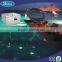 LED swimming pool light with end light optic fiber with black pvc sheated and illuminator 80w fiber optic