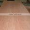 0.3mm Thickness Natural Peeling Cut Bintangor Veneer