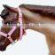 Customized design your own horse halter