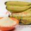 Banana Powder / Spray Dried Banana Powder / Powder of Banana