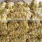 2016 new crop sweet potato fresh potato