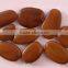 Chinese Beautiful Gardening Flower Tree Lysidice Rhodostegia Seeds For Growing