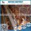 Strong Sales Hot Dip Galvanized Wire Layer Chicken Cage