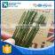 XQ wholesalers green color paper covered floral wire